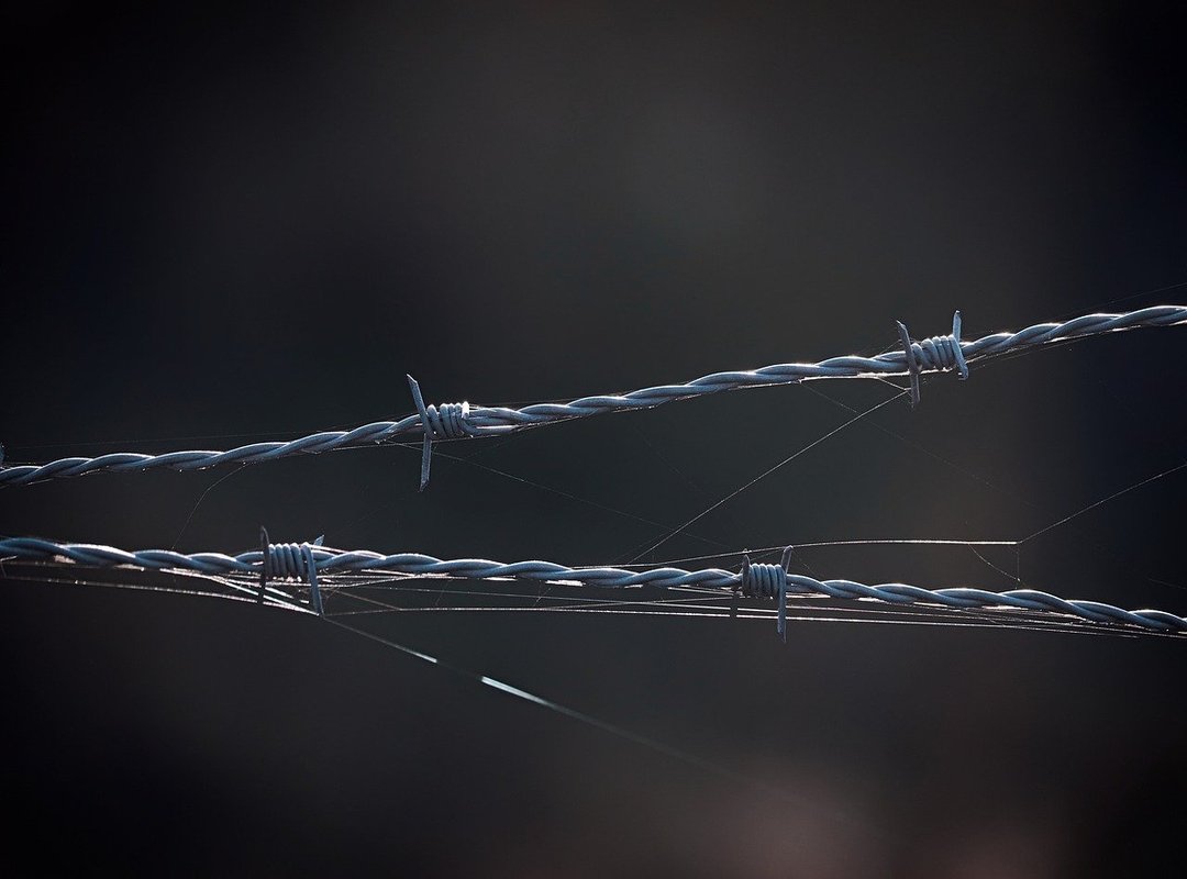 How to Proactively Safeguard Your Digital Footprint