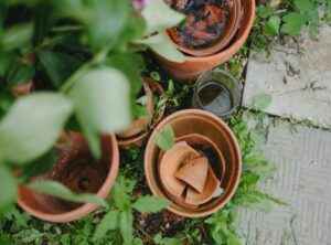 Appcgarden Backyard Tips From Activepropertycare