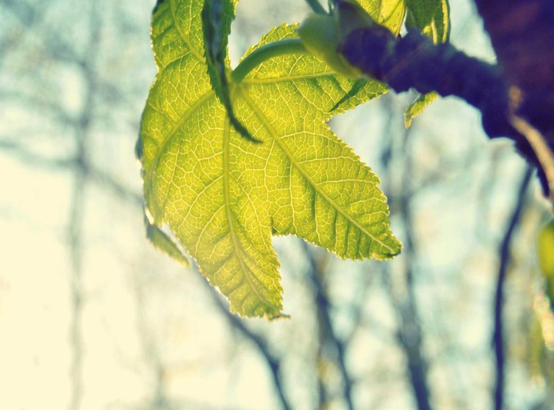 How to Stay Safe Online: Tips and Best Practices