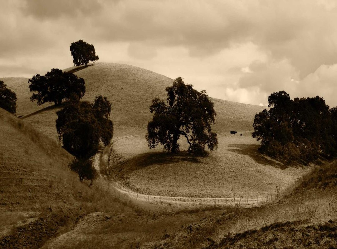 How to Choose a High-Quality Wallpaper (And Avoid Blurry Junk)