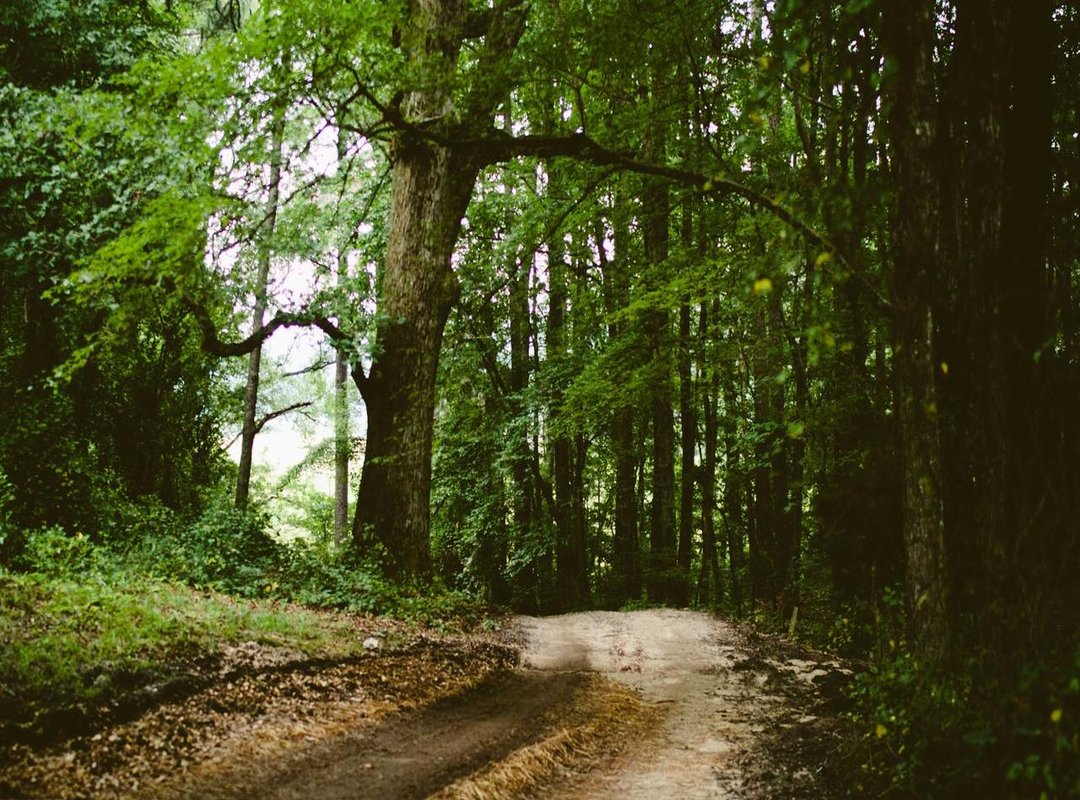 A Quick Guide: Setting Your New DP on WhatsApp